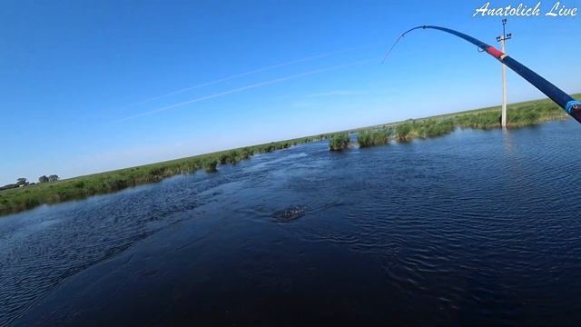8 кг на 5 червей за 3 часа. Рыбалка на поплавок. КАРАСЬ Видео 2020. Ловля крупного карася летом!