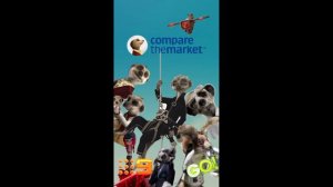 Compare the meerkat the movie poster