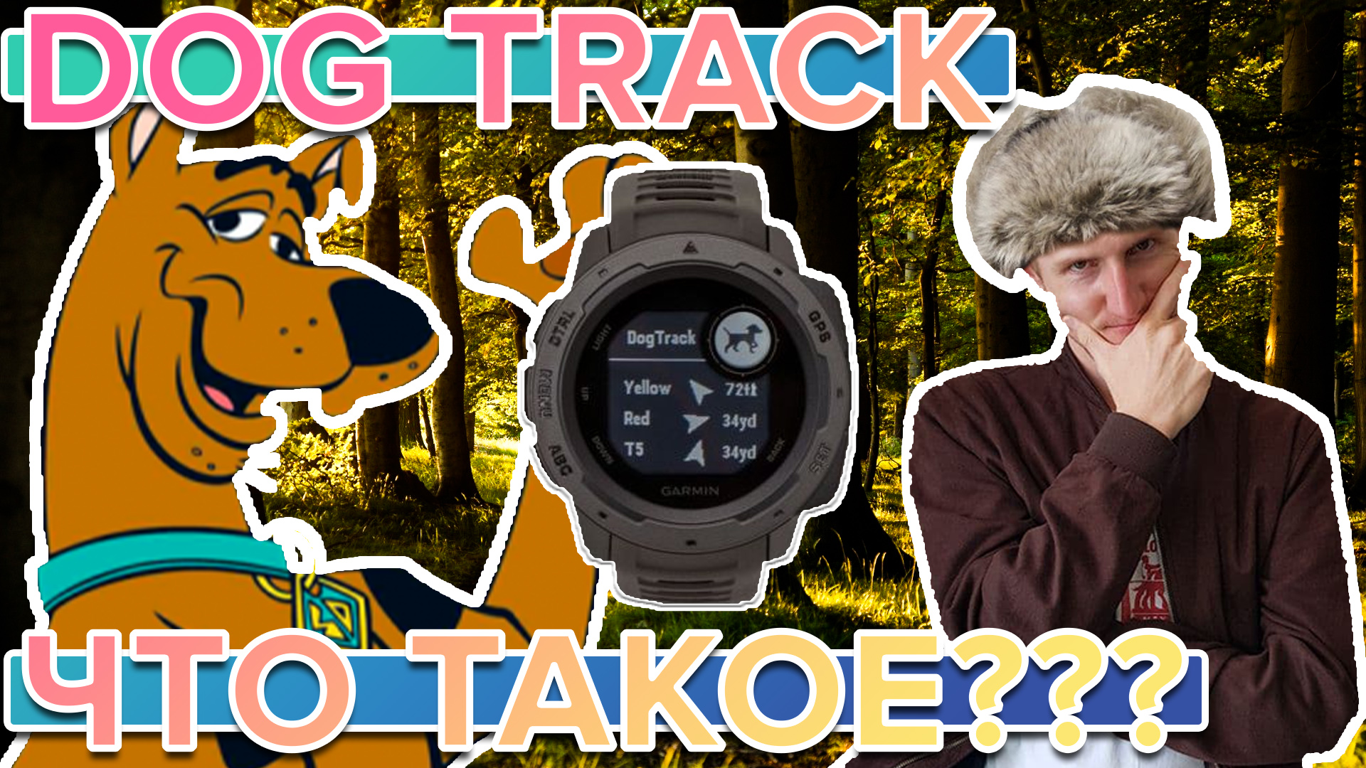 Что такое Dog Track Garmin. Для чего нужен и как работает