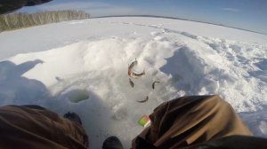 Белоярка рыбалка !!! отчет от 02.03.2022г.