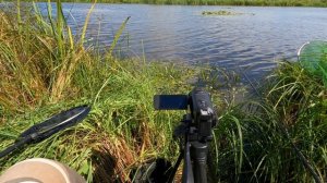 ?матчевая ловля?поплавок ваглер?ловля карася?