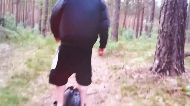 eWheels.org - Mystic Forrest Tour in May 2015 смотреть онлайн