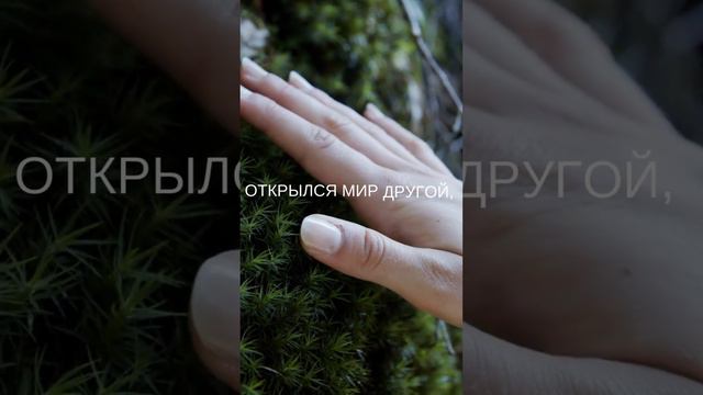 "А время так летит, бежит без остановки..." смотреть онлайн