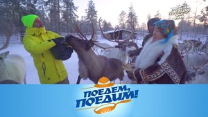 Югра: в гостях у оленеводов, сибирский замес и рагу из лося | «Поедем, поедим!»