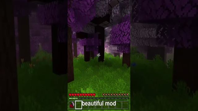 Minecraft! Beautiful mod!.mp4