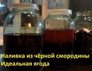 Наливка из чёрной смородины Идеальная ягода