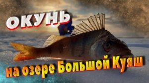 ЗИМНЯЯ РЫБАЛКА. ОЗЕРО БОЛЬШОЙ КУЯШ!!!