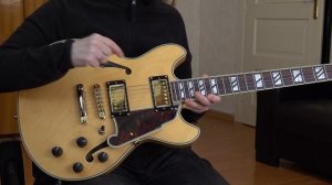 D'Angelico Deluxe Mini DC Guitar Review
