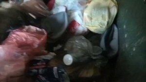 Поход по помойкам лутаю ништяки кормушки кормят.