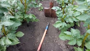Слепыш "Крот". Коротко о ловле.