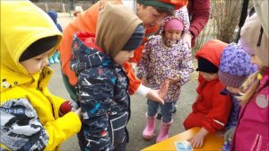 Всемирный день здоровья