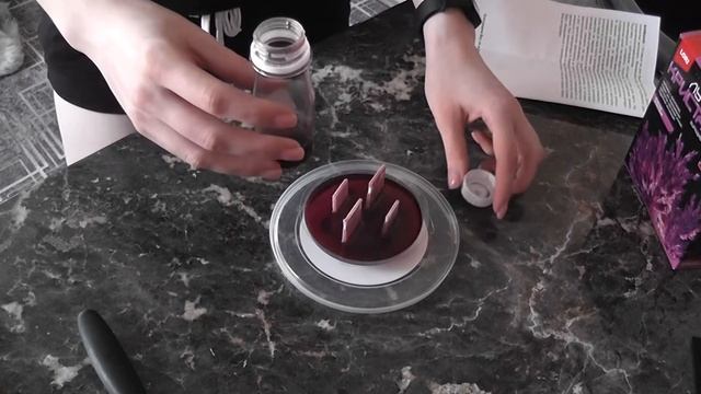 Как вырастить кристаллы дома. Набор 