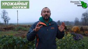 БЛАГОРОДИЕ ПЕСЧАНЫХ ПОЧВ! Превращаем песок в плодородную почву! Сюрприз в конце выпуска!