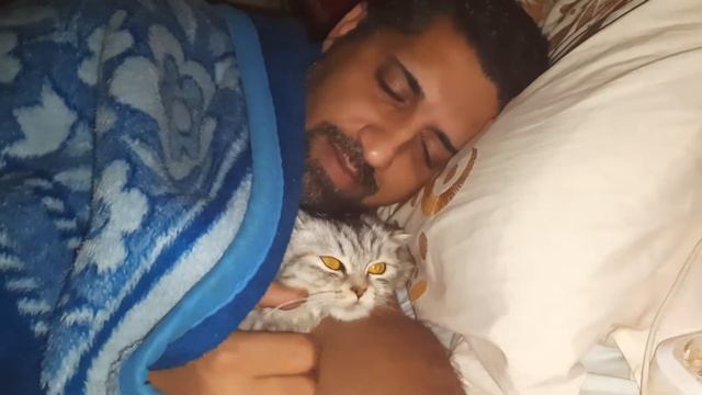 Как приучить кошку спать в кровати. How to learn cat ? смотреть онлайн