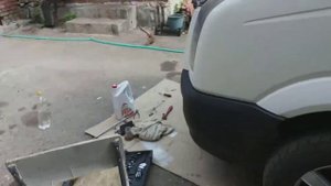 Свистит ремень