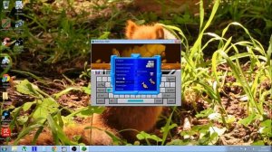 Печать в слепую. Обзор Baby Type 2000