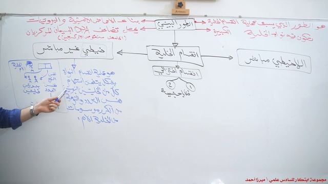 1️⃣الانقسامات محاضرة 1 ??