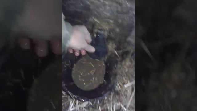 Автоматическая поилка обустройство свинарника смотреть онлайн