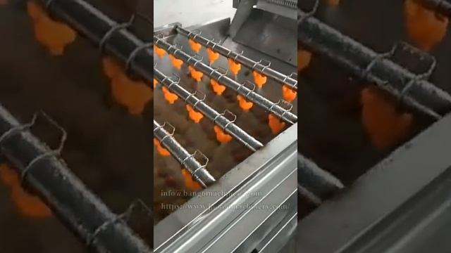 Fruit and Vegetable Washing Machine