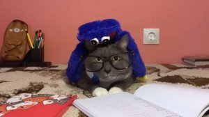 анонс заставка котинет канале карусель 24.02.2013-2014 лето