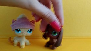 LPS: МЕГА РАСПАКОВКА| ПЭТЫ БЕЗ НОМЕРОВ| ОЧЕНЬ РЕДКИЙ ДОГ?