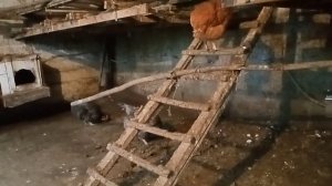 почему я не делаю теплый пол в курятнике