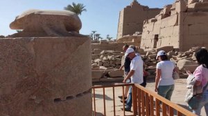 жук скоробей. и сразу забеременеть можно.