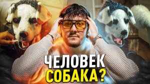 ЧЕЛОВЕК - СОБАКА? | МУЖЧИНА СЧИТАЕТ СЕБЯ СОБАКОЙ И СПИТ В КЛЕТКЕ | ОПАСНЫЙ ДРУГ 2022