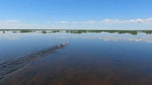 Подводная охота в Астрахани лето База отдыха "Фартовый"