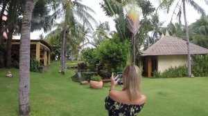 Terracota 4*. Муйне. Вьетнам