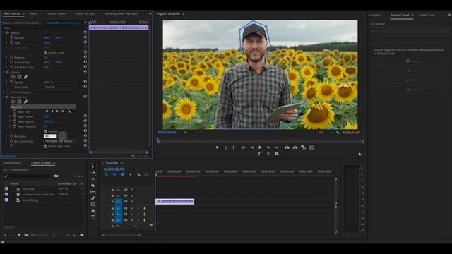 How To BLUR The BACKGROUND In Premiere Pro 2023