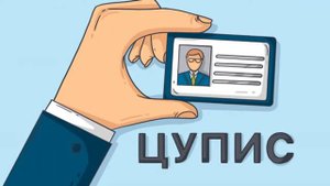 Что такое ЦУПИС и Оффшорная БК