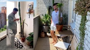 КАК ЗАВЕТВИТЬ ПАХИПОДИУМ