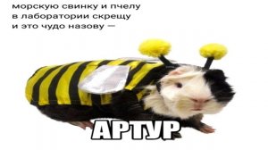 Кавер-  пчиловод