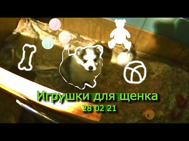 Игрушки для щенка 28 02 21