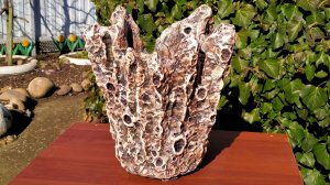 Из Тряпки и Цемента вазон Коралл