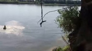 Ленка, ёп твою мать!