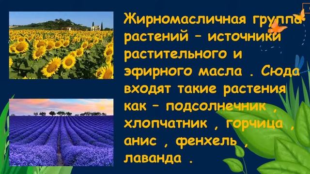 Полевые культуры. Окружающий нас мир смотреть онлайн