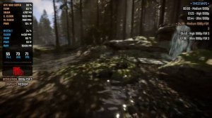 Sons of the Forest 1.0 on GTX 1660 Super