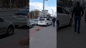 Кишинев бу Штефана чел Маре 135 авто лоси разъехались 08.04.23