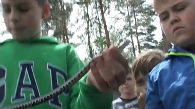 Дети поймали змею смотреть онлайн