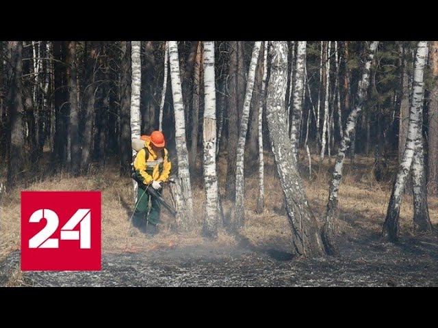 Новости. Авиалесоохрана не может справиться с природными пожарами - Россия 24 