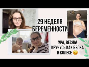 29 неделя  беременностиТрудная неделя, снова хотят клексан, узи