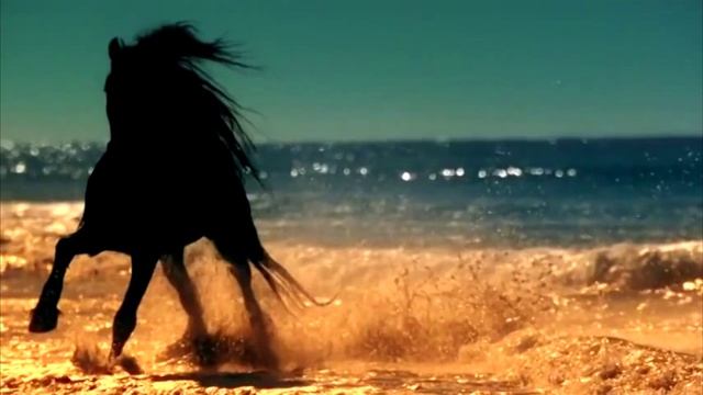 Дальнобойщик и дальнобойщица Климовск 1.mp4 смотреть онлайн