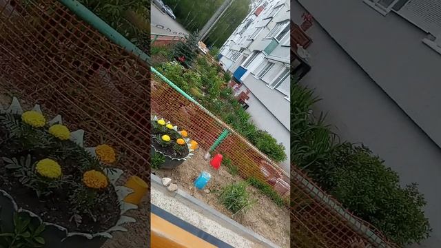 Г.Каз-ь!-Я-Олег,Д.Раф-л!-Блин+Блин=Масл-ца Шутк!-Крас-а Сз-и!-Пойд-ь Домой Пошли!-Кругл На Ключе-Да