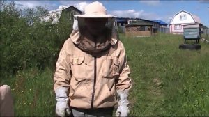 МАТКА ТРУТОВКА. ЧТО ДЕЛАТЬ?