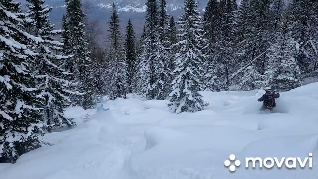 Плюшки