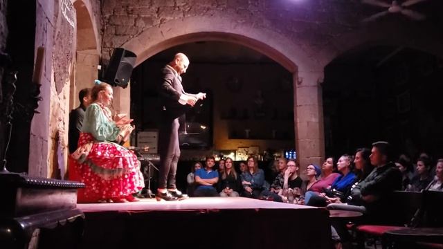 Barcelona - Palau Dalmases Flamenco смотреть онлайн
