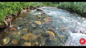 Как мы убивали лодку! Лодка АКАДЕМИЯ в деле!! Водометная лодка для рыбалки. Кузбасс.