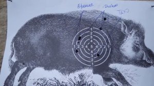 Стреляем пулей из гладкого по "кабану"